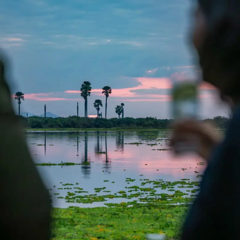 A calm river at sunset with palm trees reflected in the water, viewed between blurred foreground figures