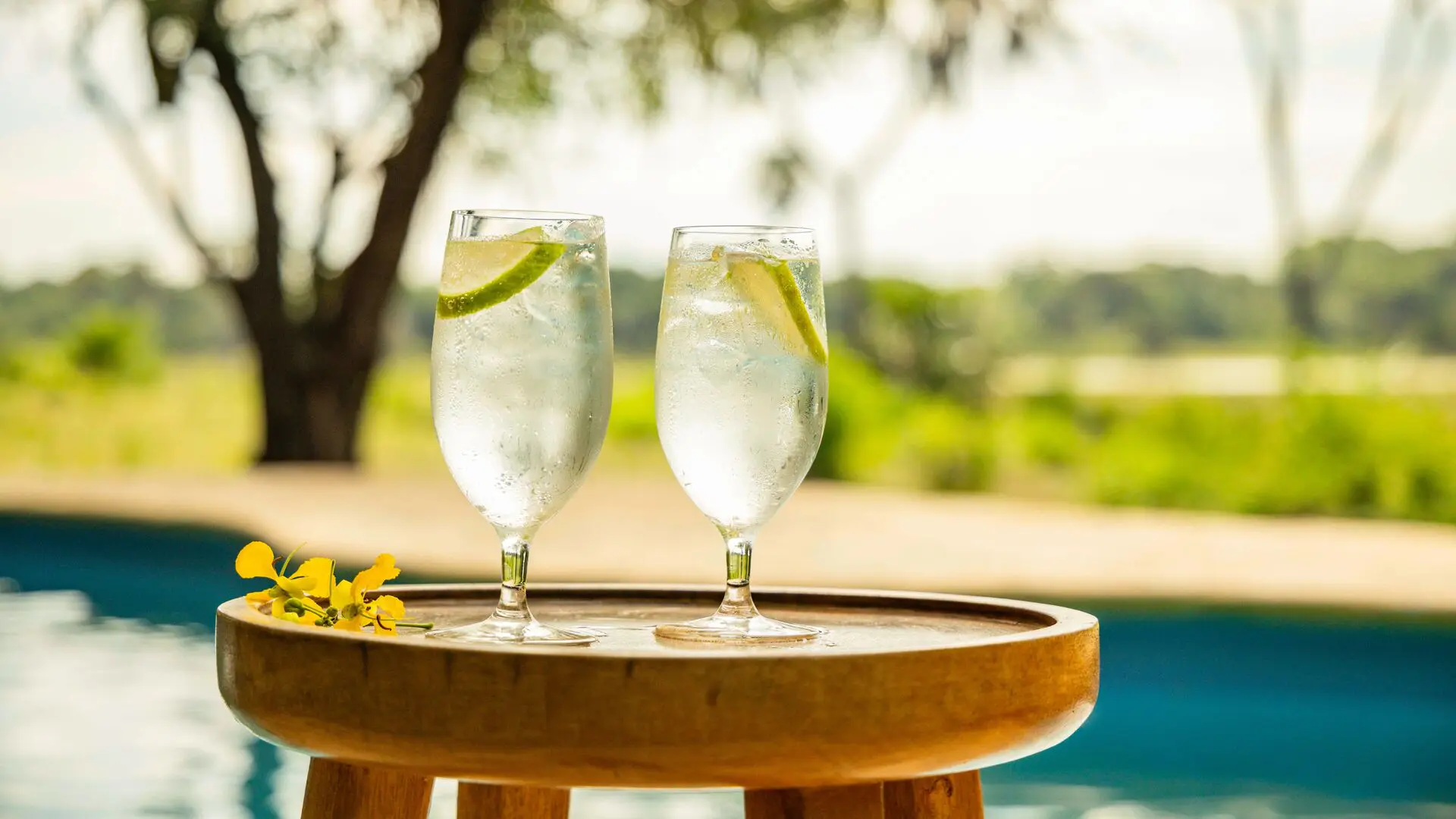 Two chilled drinks with lime slices on a wooden table beside a swimming pool overlooking greenery at Roho ya Selous