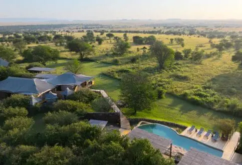 An aerial view of Sayari Camp with tented structures and a swimming pool set among green trees, overlooking vast golden Serengeti plains stretching to the horizon under soft morning light.
