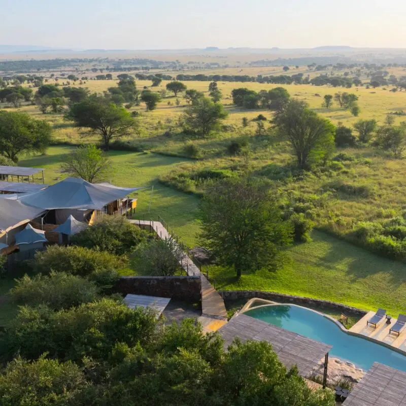 An aerial view of Sayari Camp with tented structures and a swimming pool set among green trees, overlooking vast golden Serengeti plains stretching to the horizon under soft morning light.