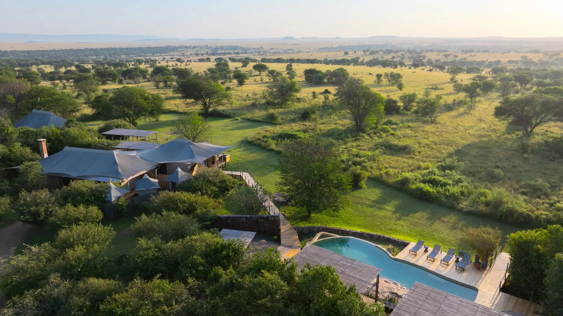 An aerial view of Sayari Camp with tented structures and a swimming pool set among green trees, overlooking vast golden Serengeti plains stretching to the horizon under soft morning light.