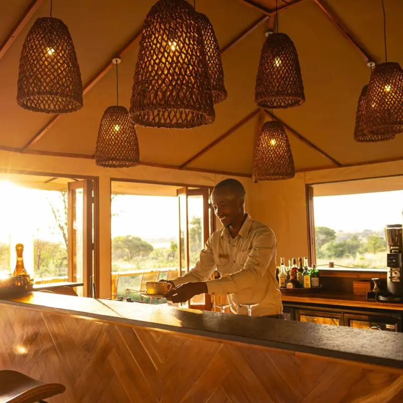 A smiling staff member prepares a drink behind a wooden safari lodge bar, warmly lit by woven pendant lights, with open windows revealing sunlit savannah and trees outside.
