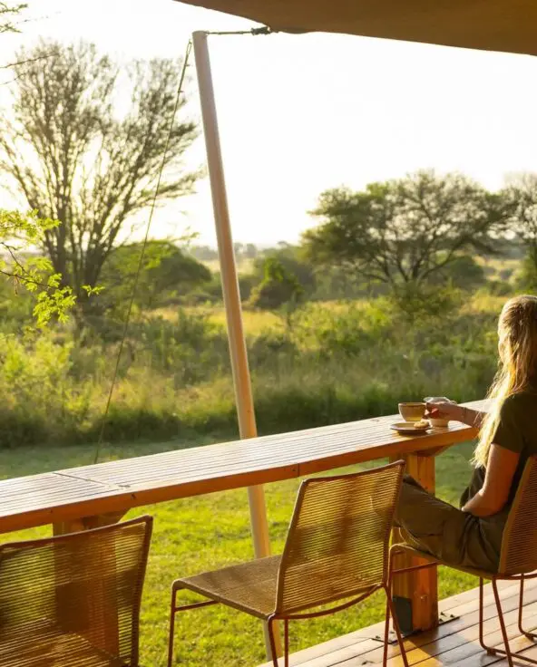 A guest sits at a wooden deck counter enjoying a cup of coffee, looking out over sunlit green savannah with scattered trees, as warm early-morning light filters through the camp veranda.