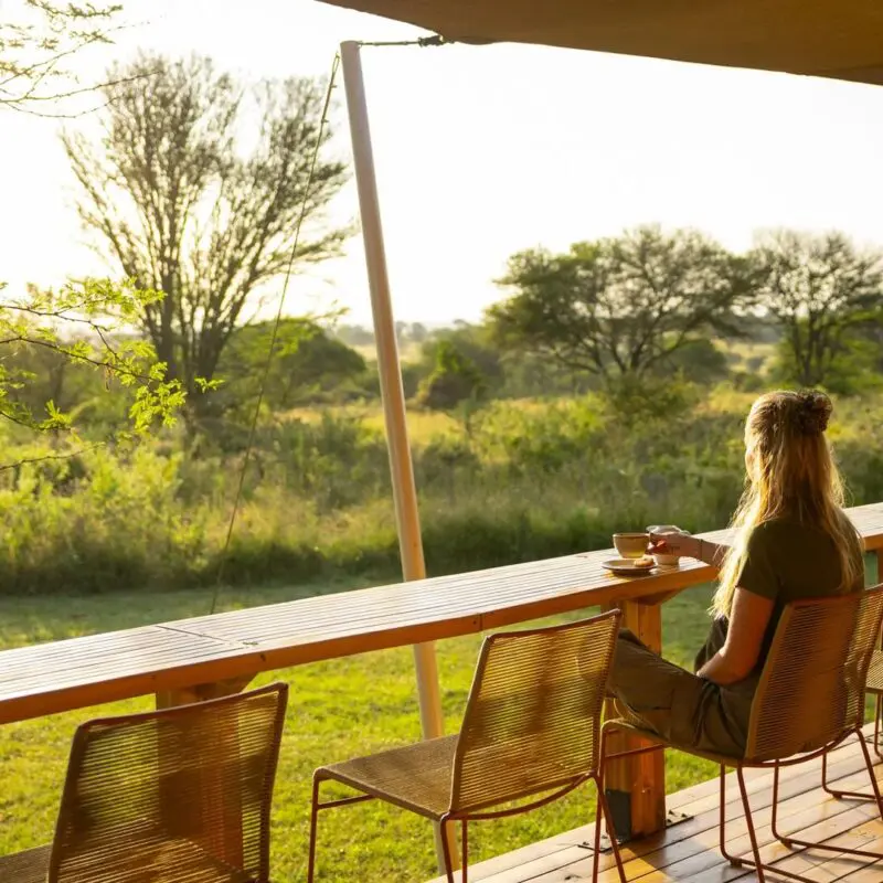 A guest sits at a wooden deck counter enjoying a cup of coffee, looking out over sunlit green savannah with scattered trees, as warm early-morning light filters through the camp veranda.