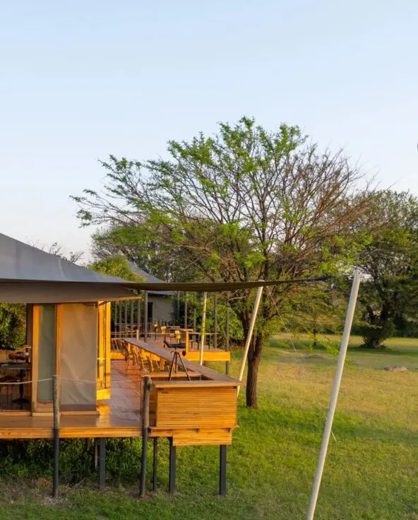 Sayari Camp’s raised lounge and deck overlooking open Serengeti grassland, with a hot air balloon floating in the distance during early morning light, framed by trees and clear skies.