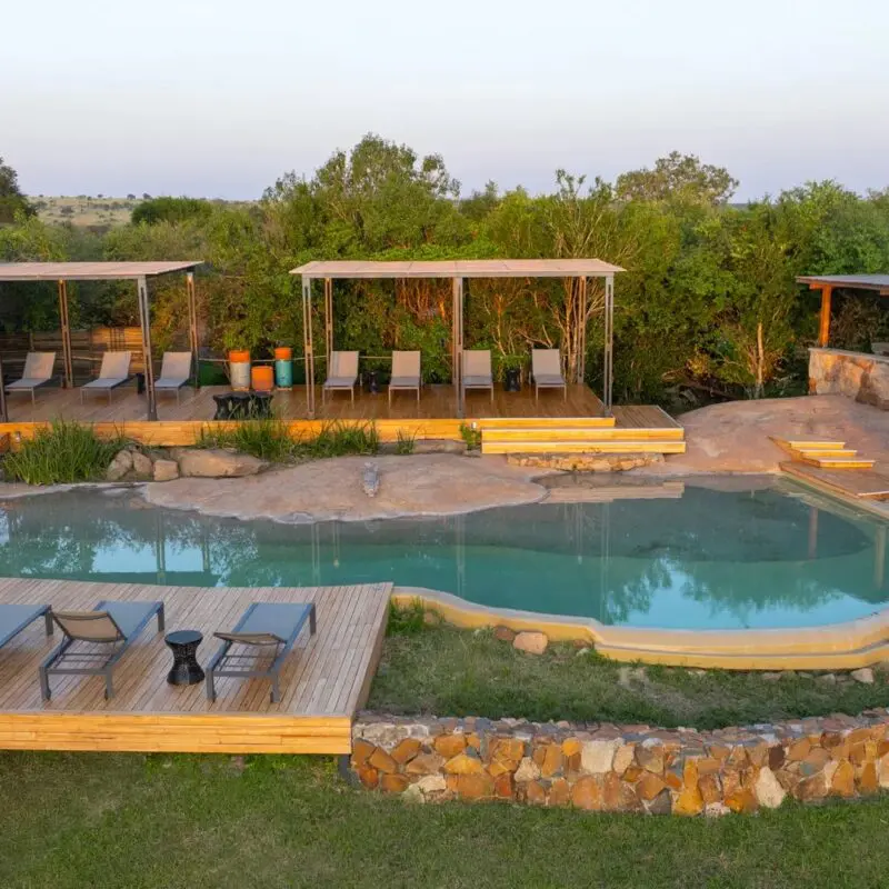 Sayari Camp’s natural stone and wood swimming pool surrounded by sun loungers and shaded decks, set among green trees and open Serengeti plains in soft morning light.