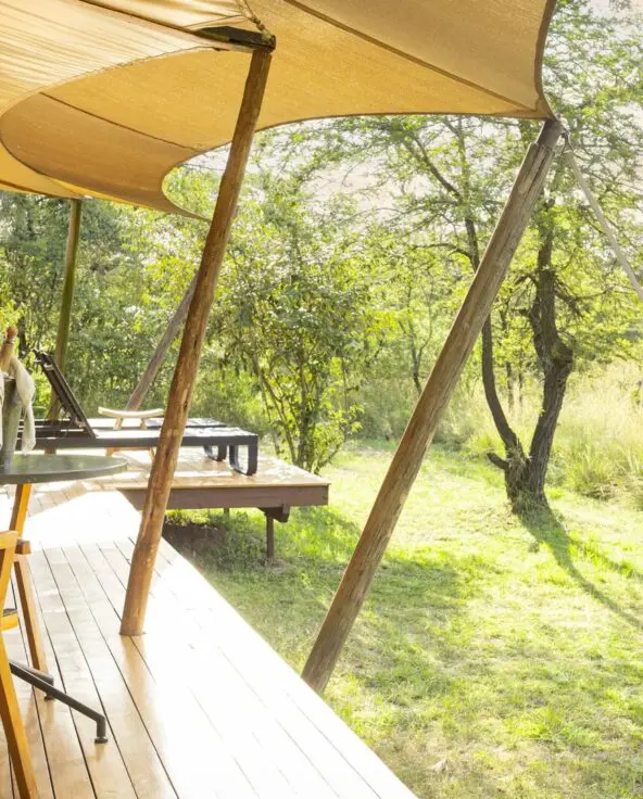 A sunlit private safari deck at Sayari Camp with wooden chairs, a small table set with champagne, shaded canvas canopy, and open views across green grassland and trees at golden hour.