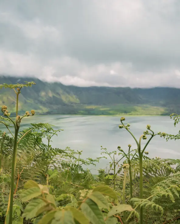 A crater lake viewed through foreground vegetation with misty hills and low clouds surrounding it.