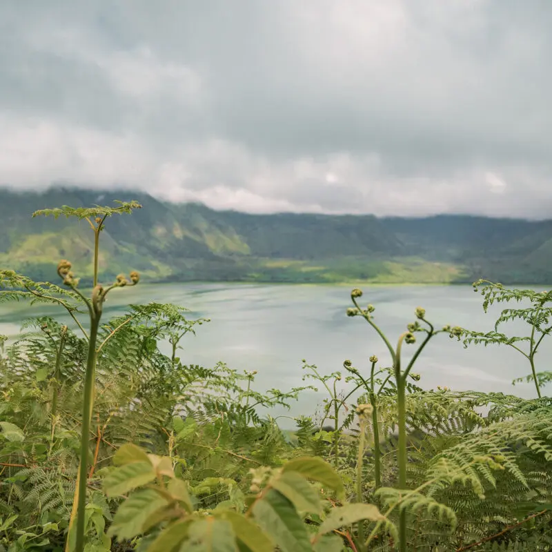 A crater lake viewed through foreground vegetation with misty hills and low clouds surrounding it.