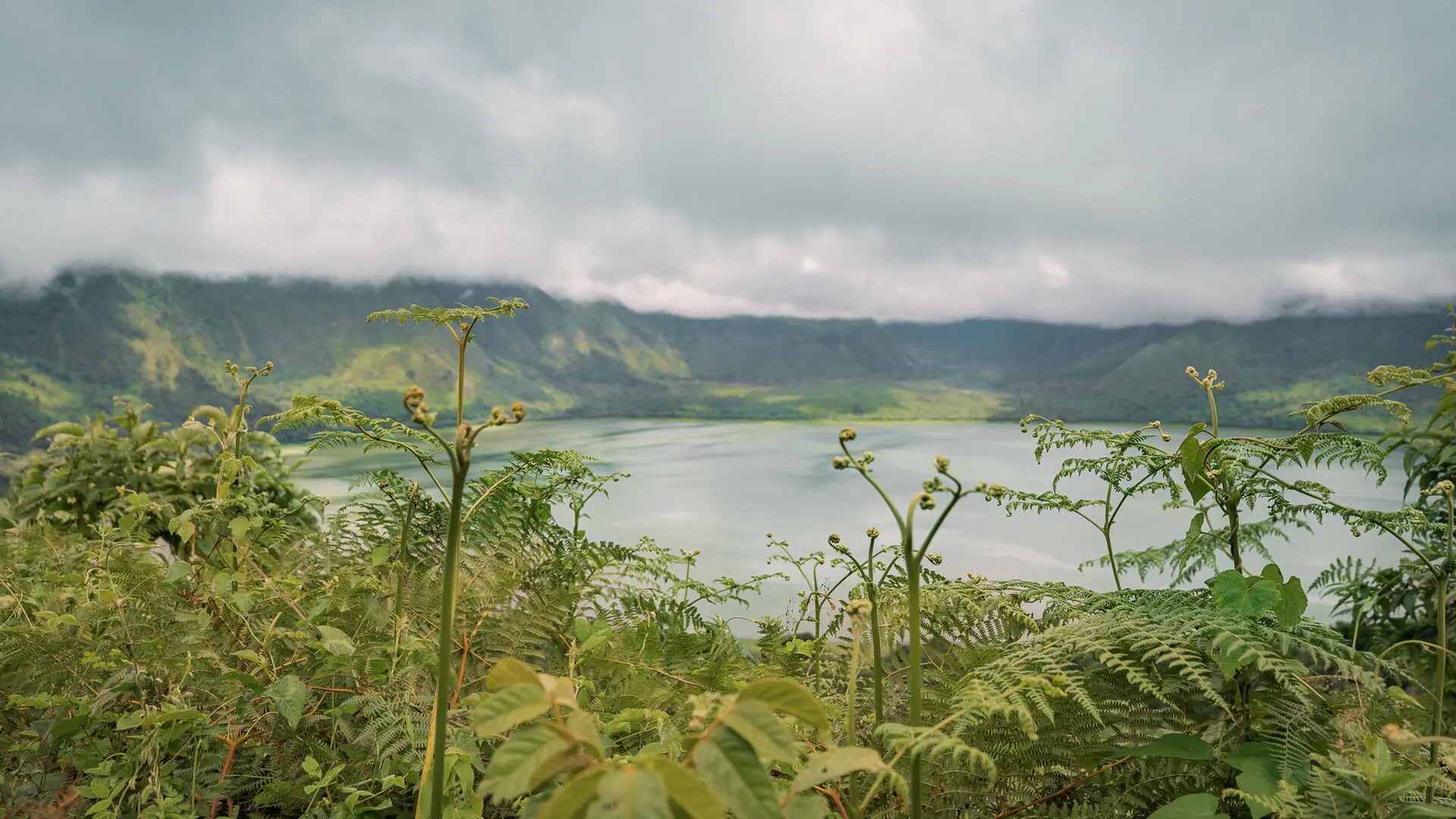 A crater lake viewed through foreground vegetation with misty hills and low clouds surrounding it.