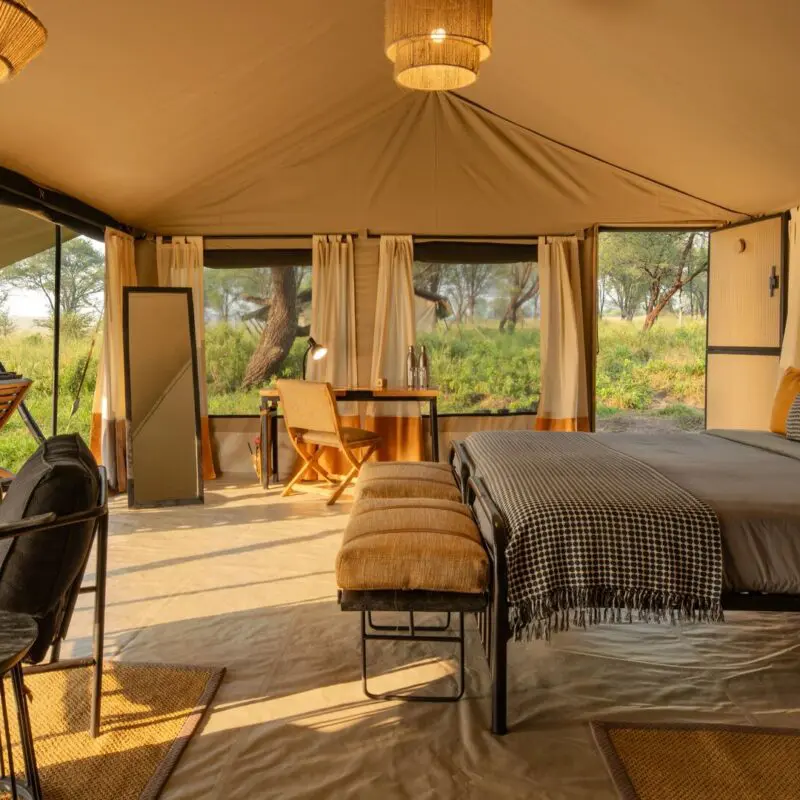 Interior of a safari bedroom at Ubuntu Migration Camp with a double bed, woven lighting, seating area, writing desk, and open canvas walls revealing green woodland and outdoor loungers.