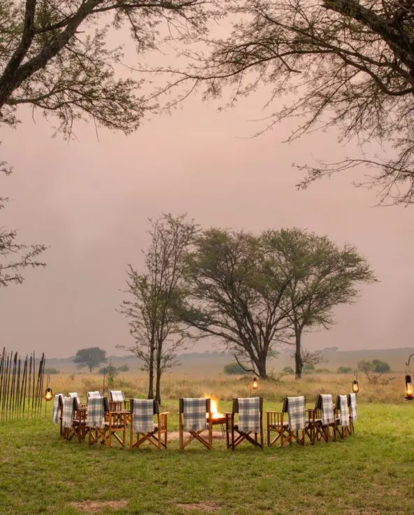 A circular arrangement of safari chairs surrounds a glowing campfire on open grassland, framed by tall acacia trees and lanterns, with the savannah stretching into the distance at dusk.
