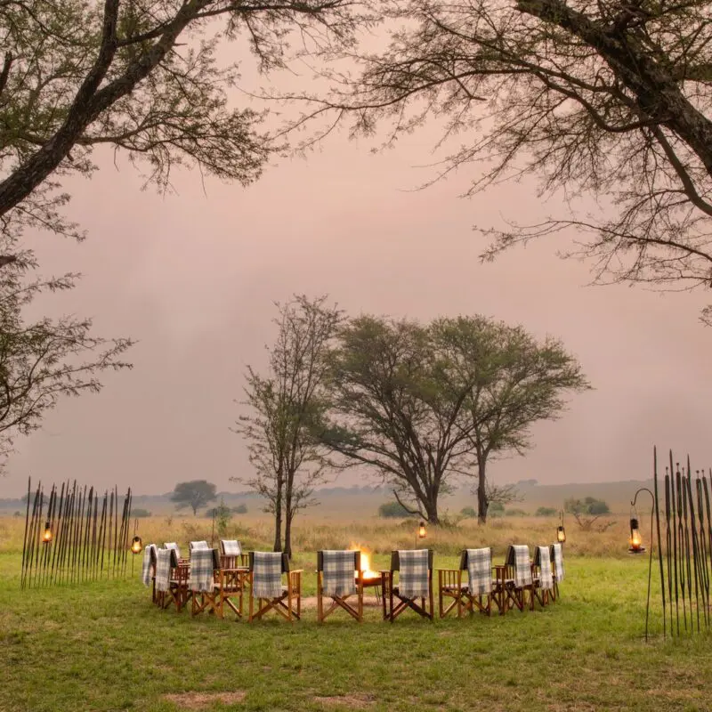 A circular arrangement of safari chairs surrounds a glowing campfire on open grassland, framed by tall acacia trees and lanterns, with the savannah stretching into the distance at dusk.