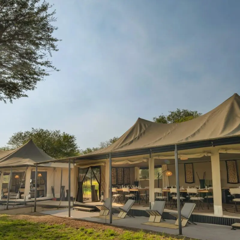 ~Ubuntu Migration Camp's open-sided communal safari tents with dining and lounge areas, canvas roofs and furnishings, set beneath trees with sunlight filtering through onto the grassy clearing.