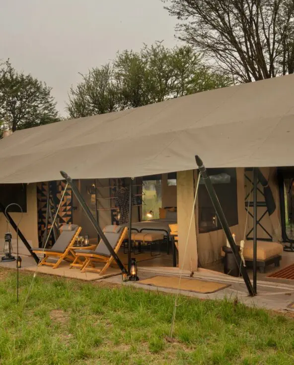Exterior view of a large family suite at Ubuntu Migration Camp with open-front design, outdoor loungers, and a furnished lounge area, set amid green grass and trees with warm lantern lighting.