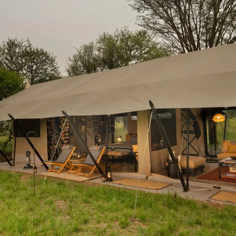 Exterior view of a large family suite at Ubuntu Migration Camp with open-front design, outdoor loungers, and a furnished lounge area, set amid green grass and trees with warm lantern lighting.