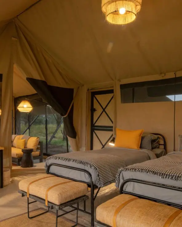 Interior of a family suite featuring two single beds with yellow cushions, soft ambient lighting, a writing desk, and canvas walls opening to views of surrounding grassland.