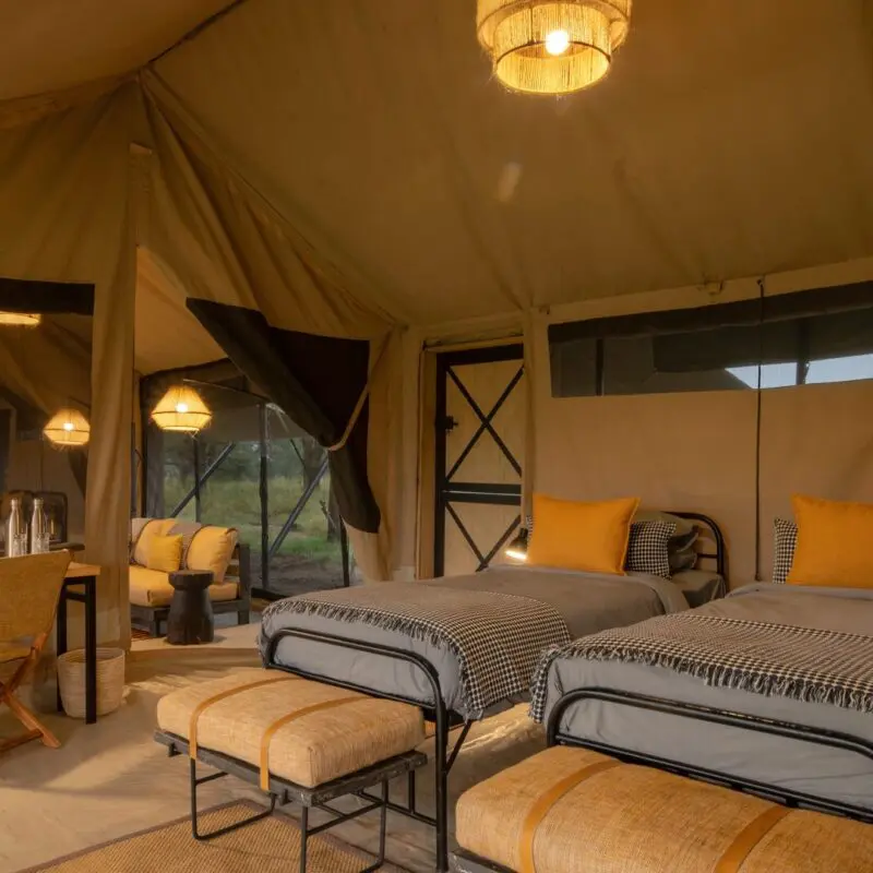 Interior of a family suite featuring two single beds with yellow cushions, soft ambient lighting, a writing desk, and canvas walls opening to views of surrounding grassland.