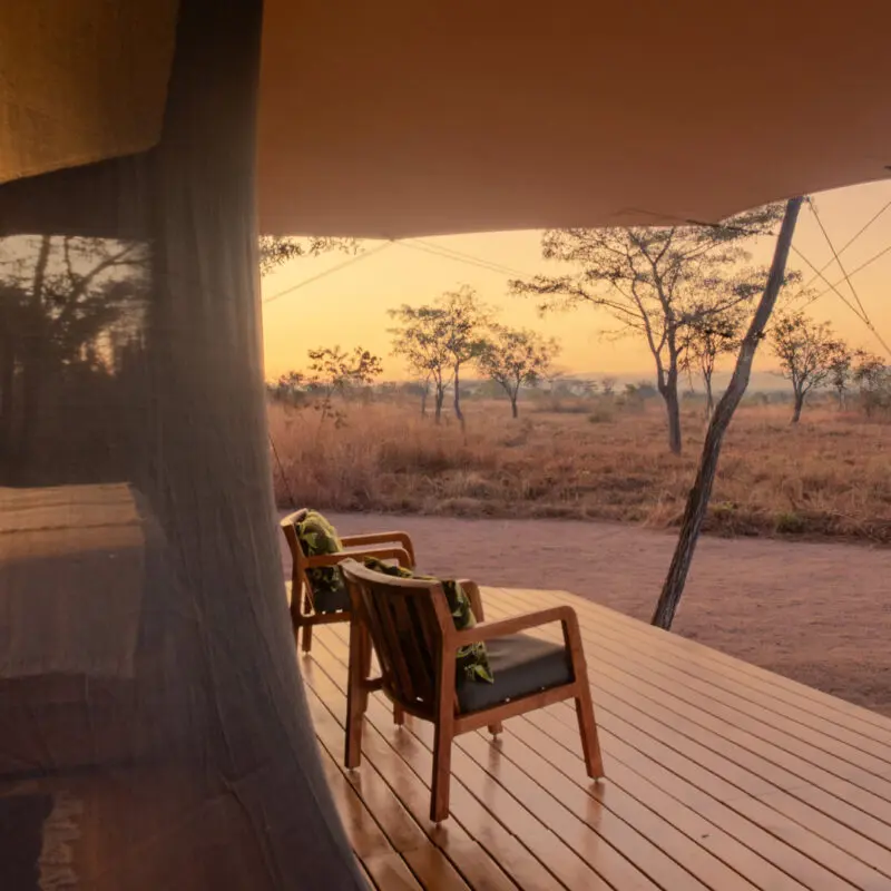 Two chairs on a wooden deck outside a guest room at Usangu Camp overlooking dry grassland at sunrise