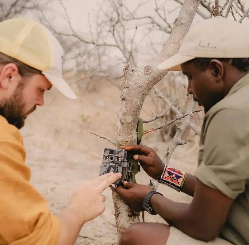 An Asilia guide and guest attaching a camera trap to a tree in a dry bush landscape.