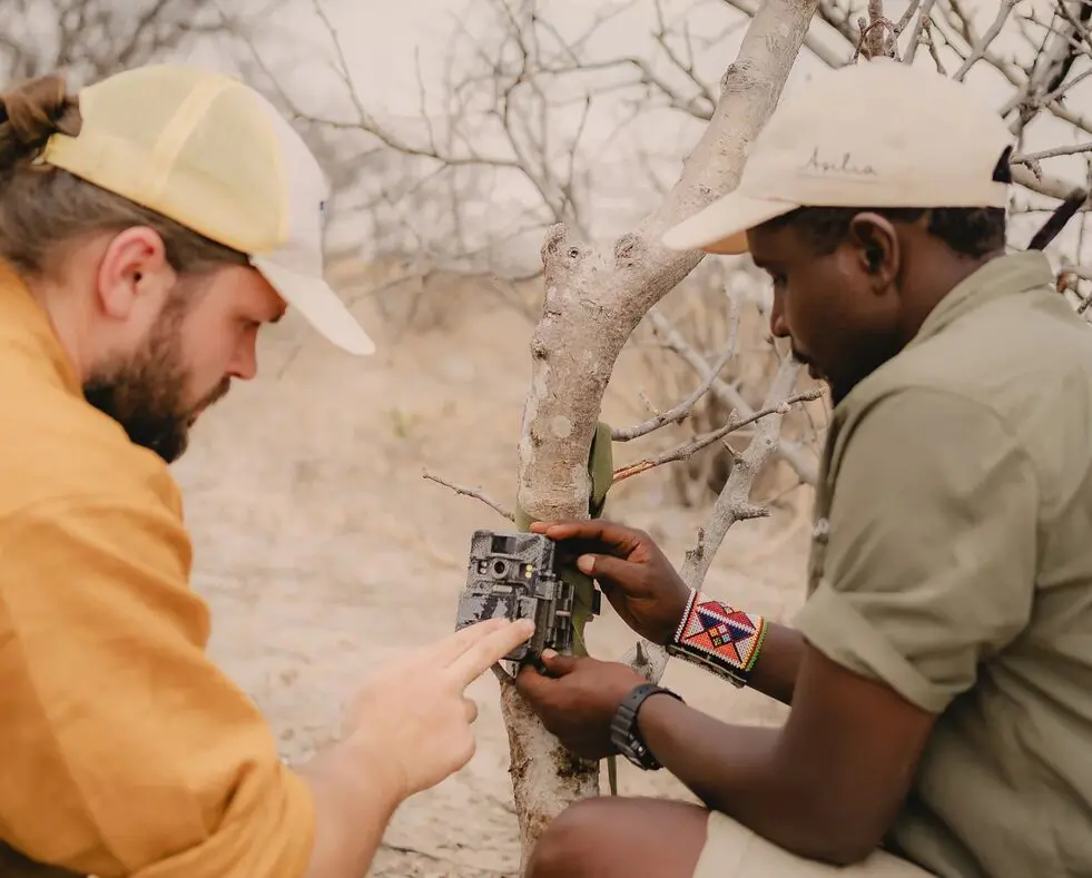 An Asilia guide and guest attaching a camera trap to a tree in a dry bush landscape.