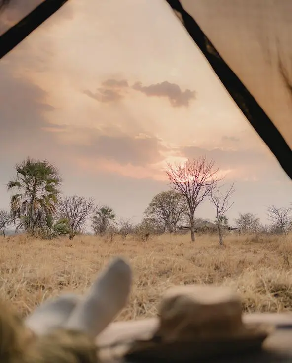 The view from inside a tent at Usangu Camp looking out onto dry grassland with scattered trees at sunrise