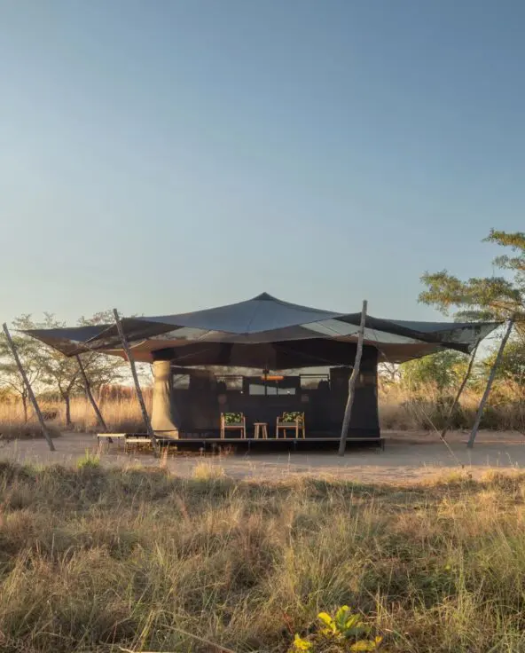 Usangu guest tent on a raised platform surrounded by dry grass and scattered trees
