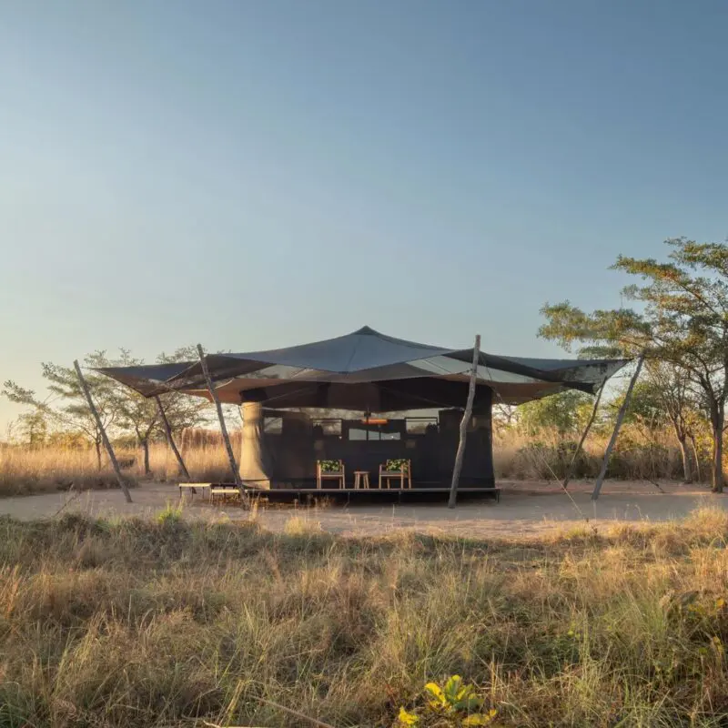 Usangu guest tent on a raised platform surrounded by dry grass and scattered trees