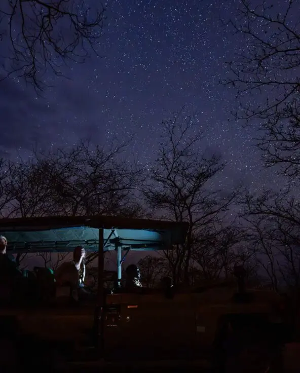 An Asilia safari vehicle with guests looking up at a starry night sky surrounded by silhouetted trees in Ruaha National Park