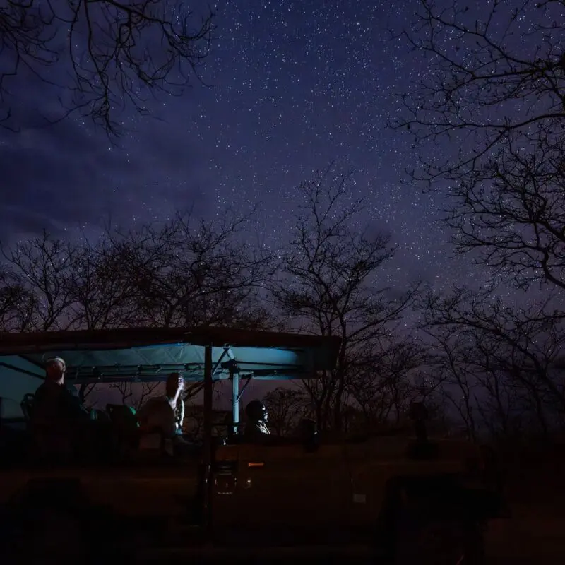 An Asilia safari vehicle with guests looking up at a starry night sky surrounded by silhouetted trees in Ruaha National Park