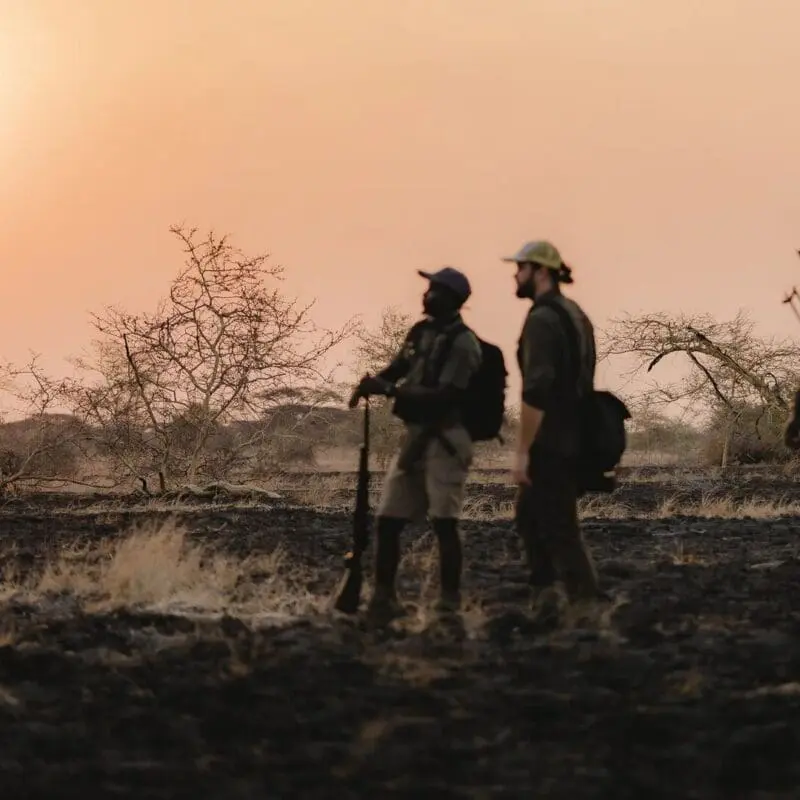 Three people walking through Ruaha National Park at sunset, silhouetted against a warm sky