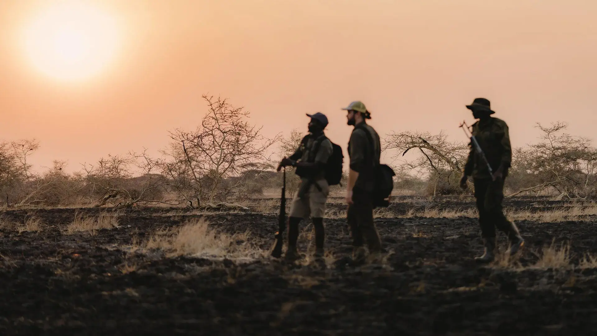Three people walking through Ruaha National Park at sunset, silhouetted against a warm sky