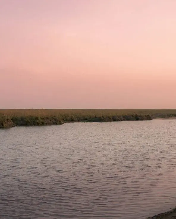 A small boat with safari guests traveling along a calm river in Ruaha National Park under a soft pink sky