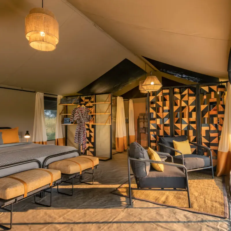 Guest tent interior view showing the bed and sitting area