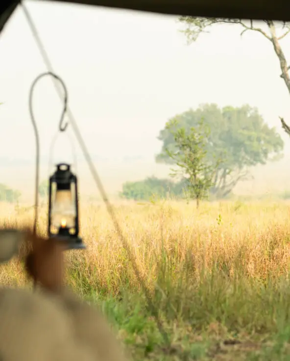 Ubuntu guest sipping a morning coffee while enjoying the view.
