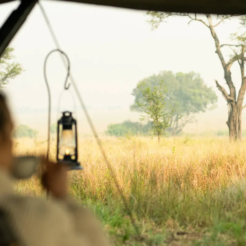 Ubuntu guest sipping a morning coffee while enjoying the view.