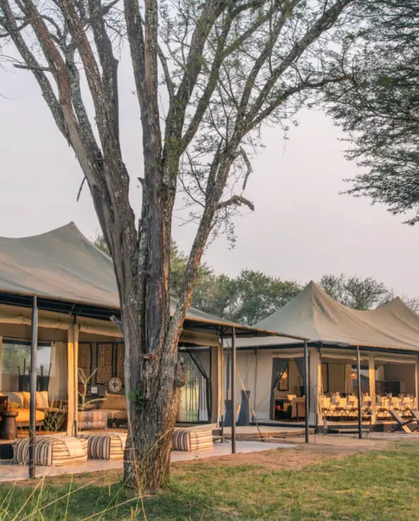 The tented communal lounge and dining areas at Ubuntu