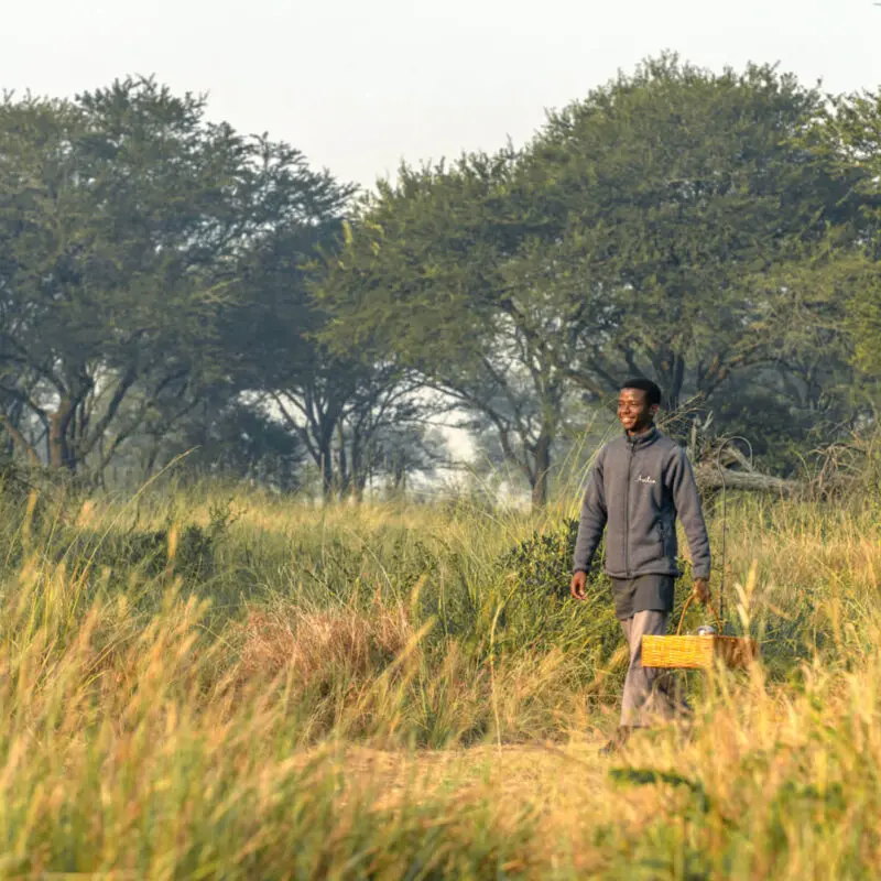 Smiling Asilia staff member walks through long grass carrying a basket