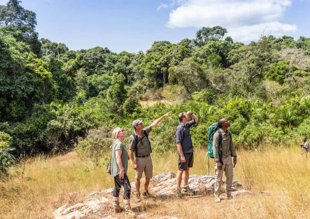 Asilia walking safari Tanzania 3