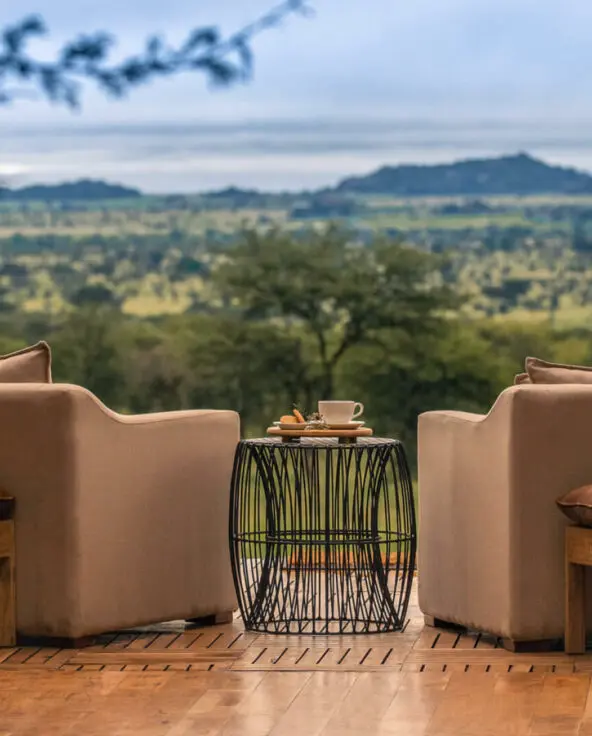 View from main area of Serengeti plains at Dunia Camp