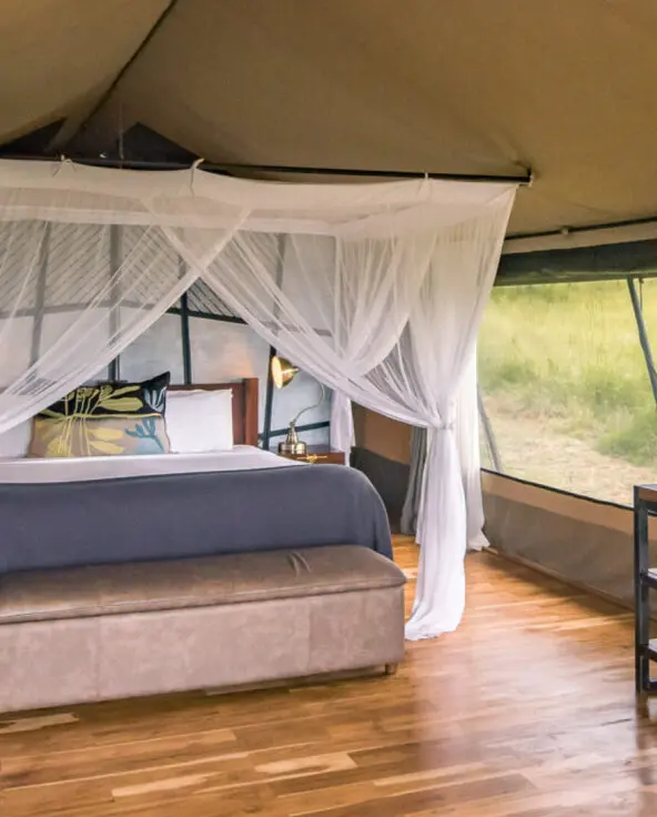 Inside view of guest tent at Dunia Camp