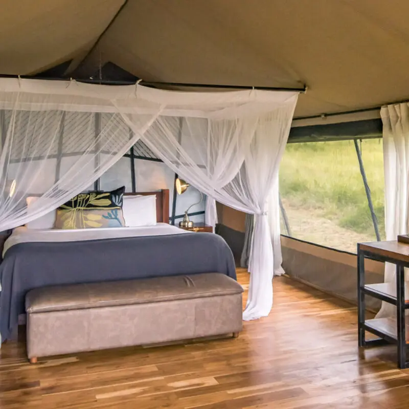 Inside view of guest tent at Dunia Camp