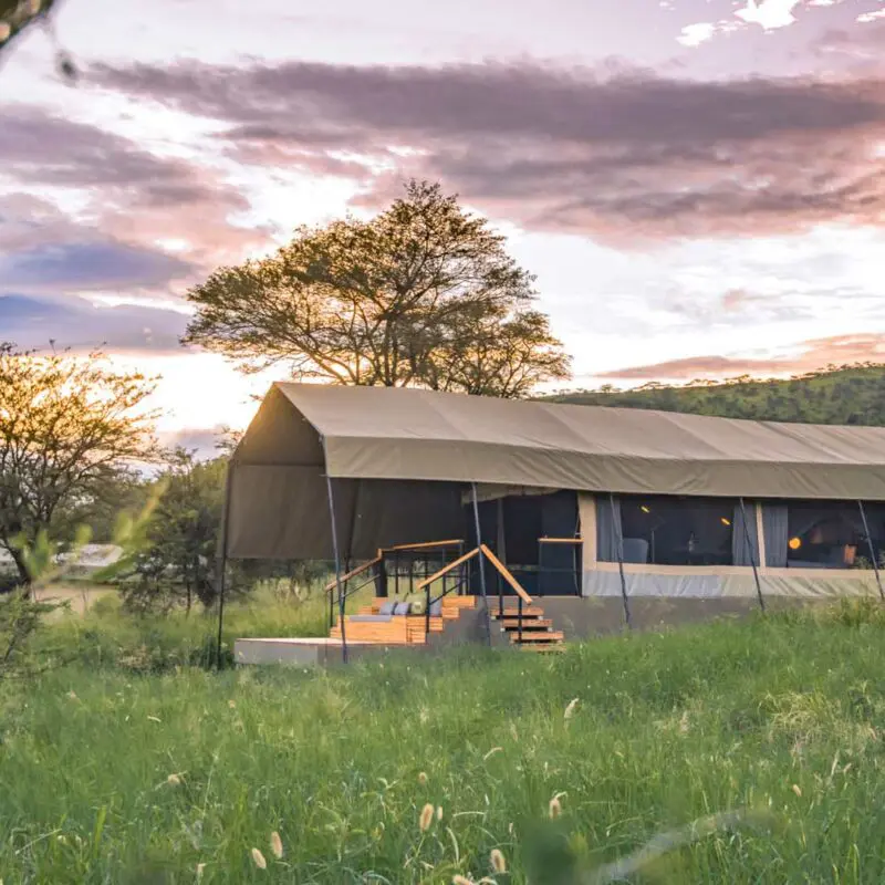 View of Dunai camp guest tents at sunset in the Serengeti