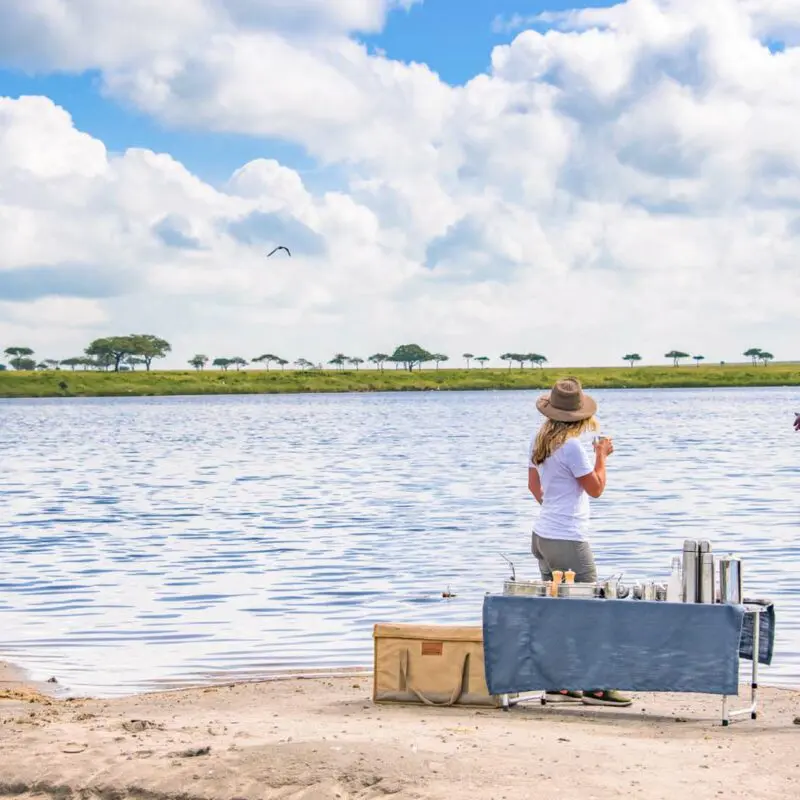 Game drive breakfast at the lake in Serengeti National Park, Tanzania