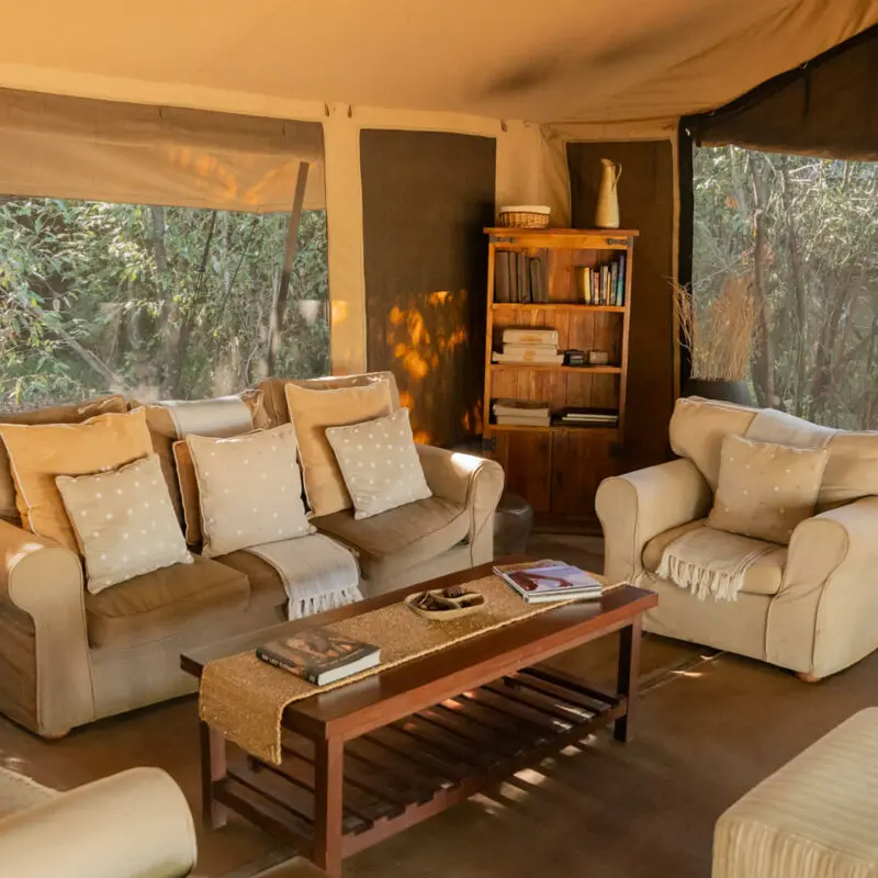 Asilia EncoInside view of the main area lounge, Encounter Mara Camp, mara naboisho conservancy, kenya