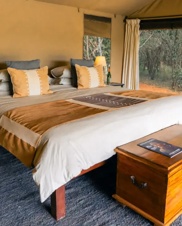 Large bed in guest tent bedroom, Encounter Mara Camp, mara naboisho conservancy, kenya