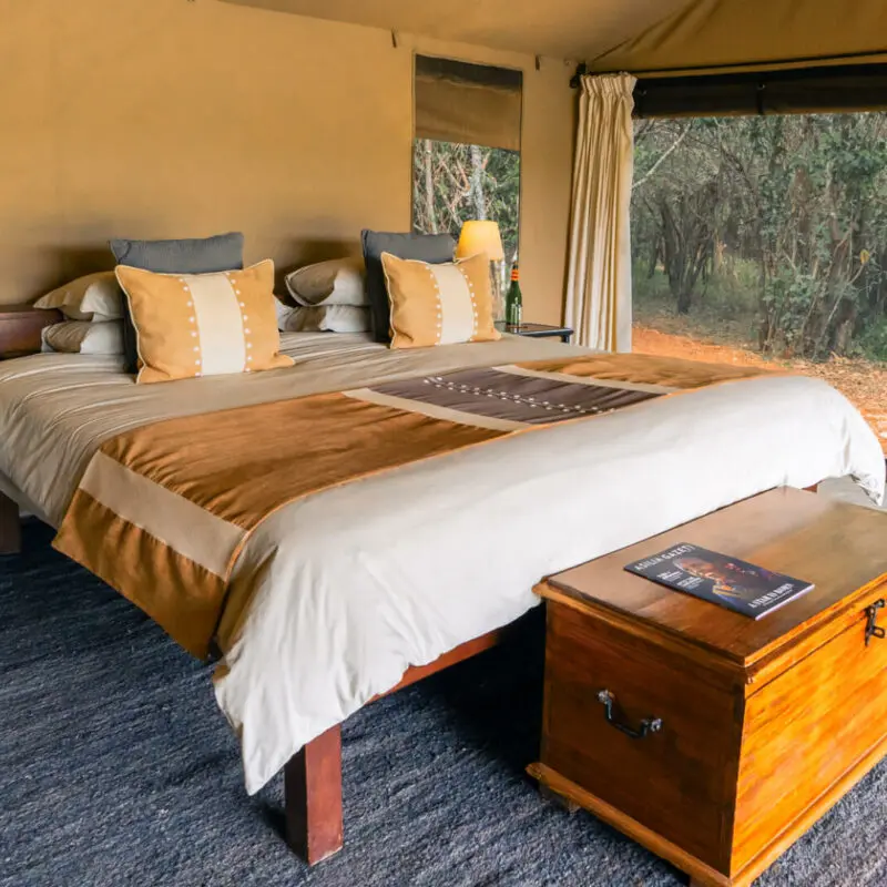 Large bed in guest tent bedroom, Encounter Mara Camp, mara naboisho conservancy, kenya