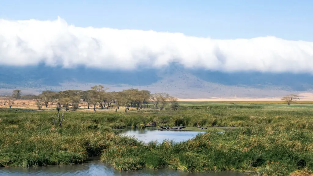 Landscape view with pods of hippo at the lake, the highlands camp, Ngorongoro Conservation Area, Tanzania