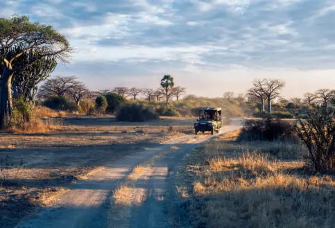 Jabali Private House, Ruaha National Park, Activity, guests on a game drive in a safari vehicle on the road driving through the park between trees and the landscape