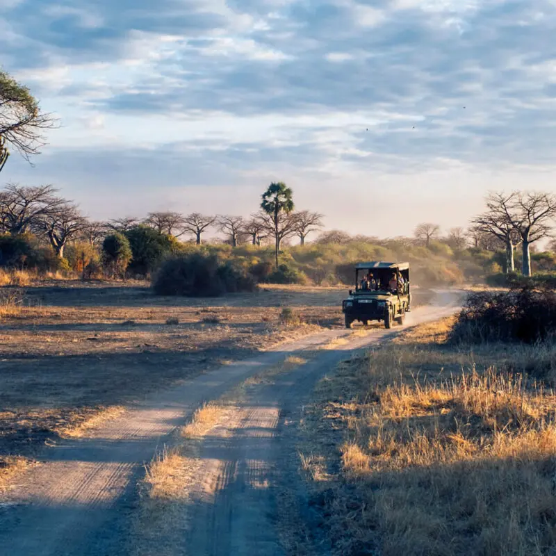 Jabali Private House, Ruaha National Park, Activity, guests on a game drive in a safari vehicle on the road driving through the park between trees and the landscape